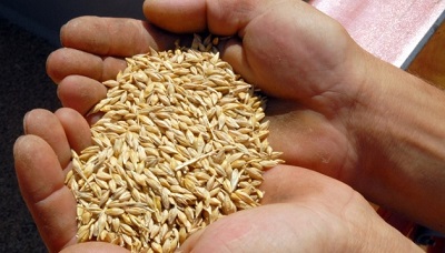 Експорт українського зерна відстає на 10 млн т з початку сезону