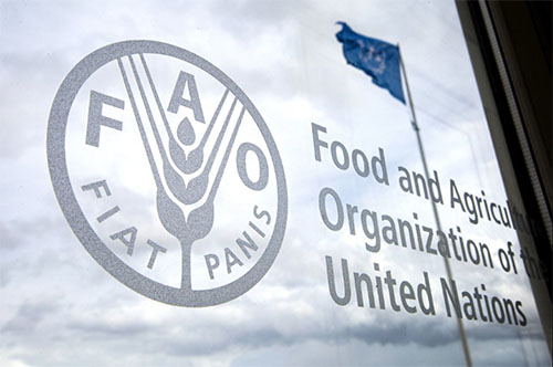 В Україні відкриють офіс FAO