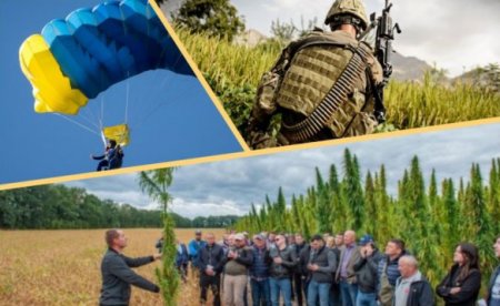 В Україні зможуть виготовляти бронежилети, порох та парашути з конопель