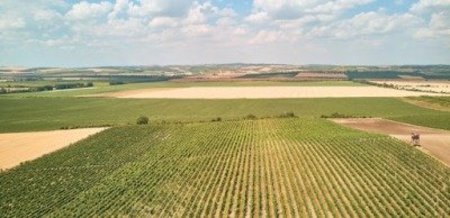 Планування використання земель: які зміни внесли у закон та чого очікувати аграріям