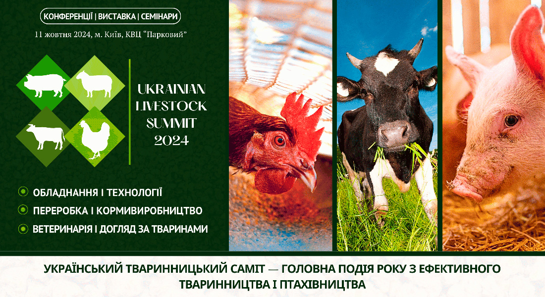 Заголовна-картинка-для-анонсу