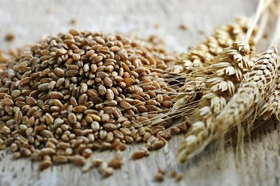 Україна експортувала 32 млн тонн зерна
