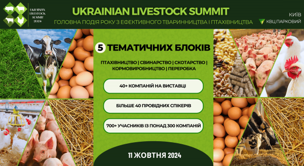 заголовна картинка