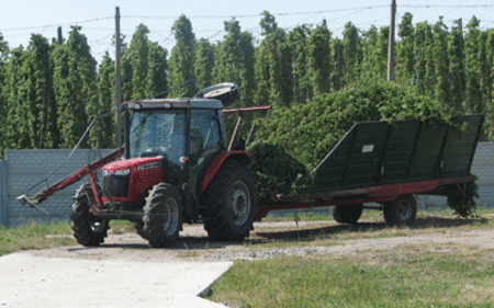 Трактори серії MF 2600 вперше в Україні були продані «Волинською фондовою компанією»