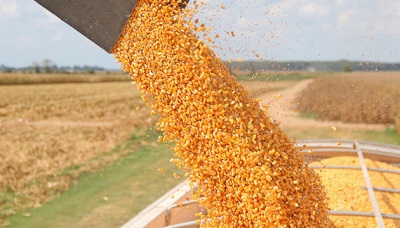 Україна на 10 млн тонн збільшила експорт зернових