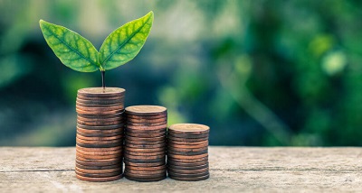 Аграрії Рівненщини у 2021 році отримали 107 млн гривень держпідтримки