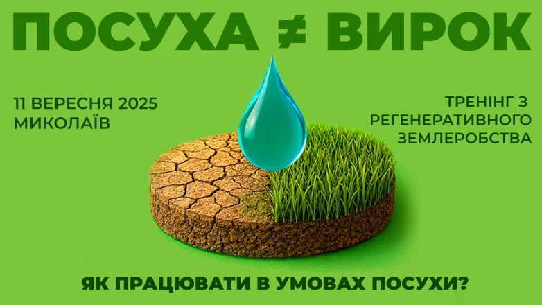 782х440