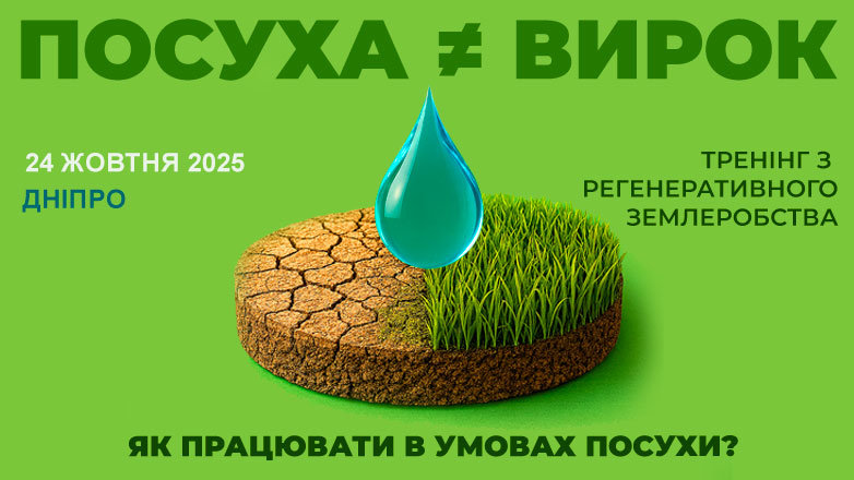 782х440_г_б